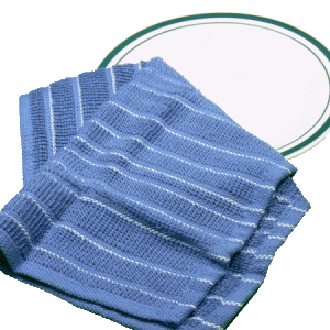 Dish Cloth