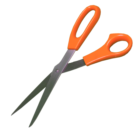 Pair Scissors